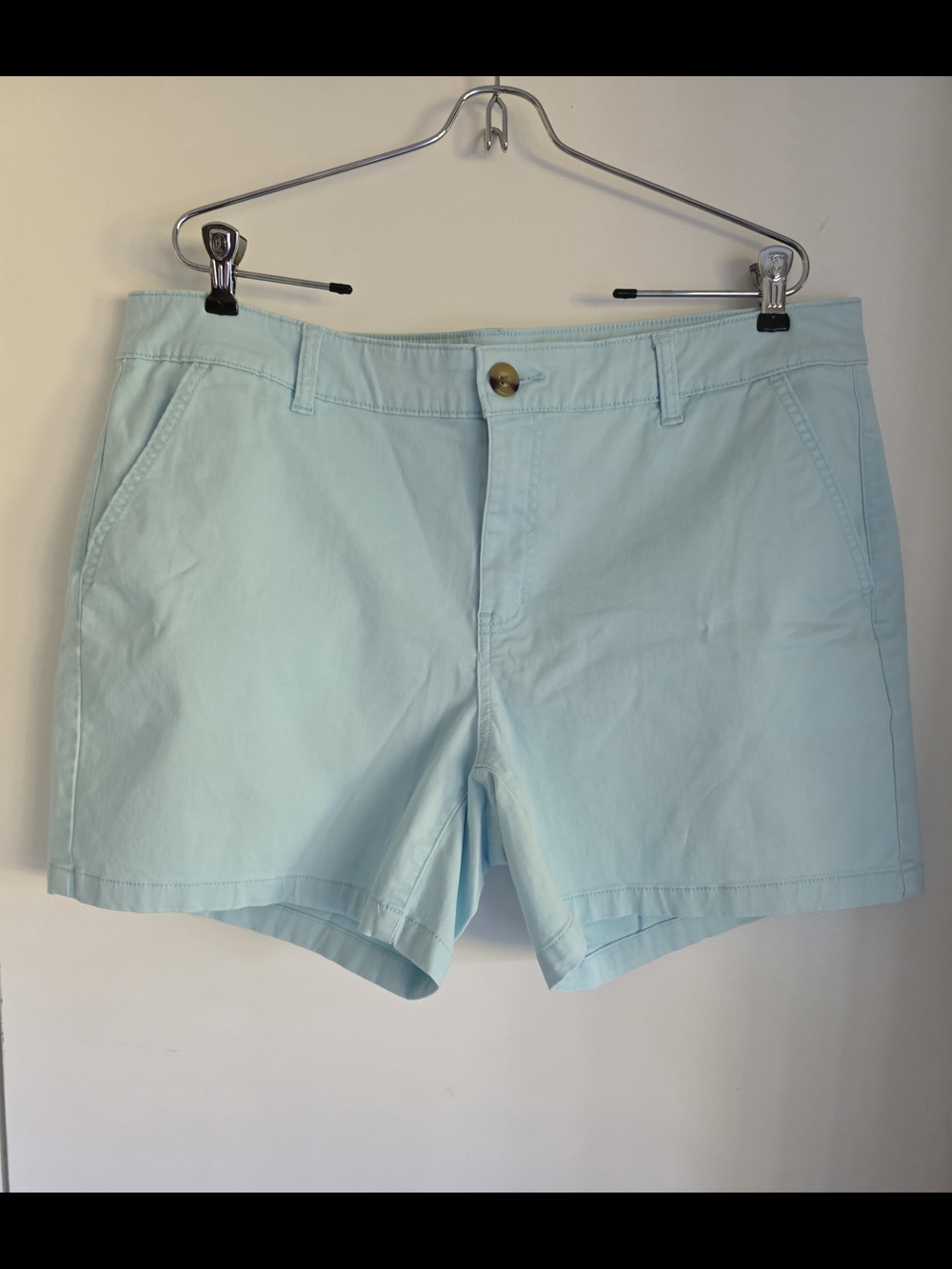 a.n.a Light Blue Cotton Blend Shorts